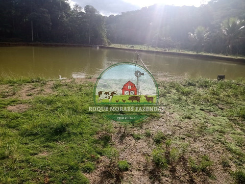 Imagem 18 de 20 de Fazenda À Venda Com 80 Alqueires Paulista No Vale Do Ribeira-sp Ref.: 0858