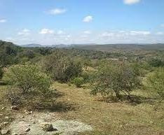 Imagen 4 de 4 de Terreno - Tanti