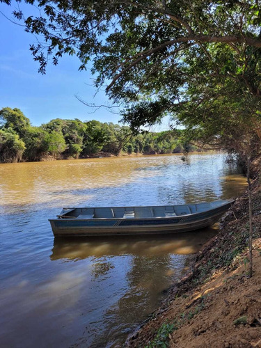Imagem 10 de 30 de Chácara Em Centro, Martinho Campos/mg De 750m² 1 Quartos À Venda Por R$ 60.000,00 - Ch2330369-s