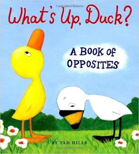 What's Up, Duck? A Book Of Opposites