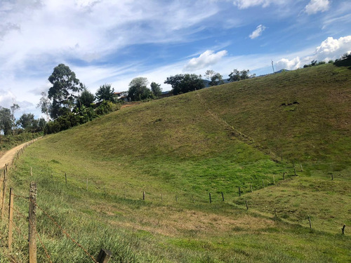 Espectacular Lote De Oportunidad Vereda Samaria Carmen De Vib. Ant.