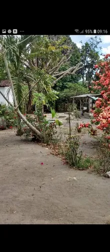 Vendo Sítio Com 52,5 Mil Mts2 Em Igarassu, 100% Plano.