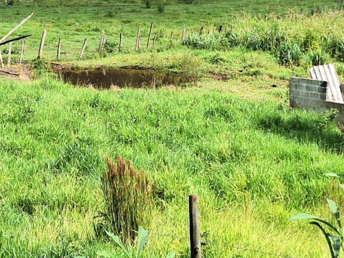 Sitio Em Taubaté Sp