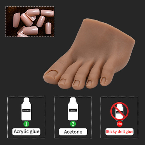 Prótesis Flexible Suave Del Modelo Del Pie De La Práctica De