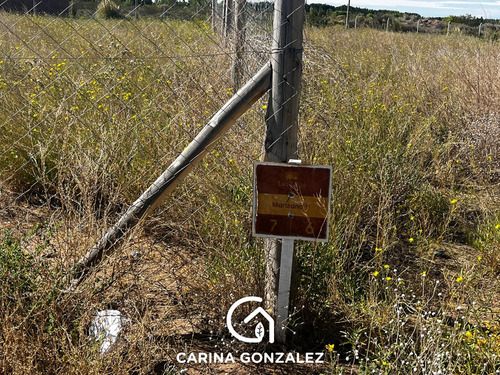 Terrenos En Barrio Las Lilas Plottier Neuquén