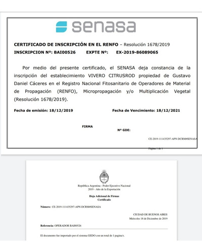 Imagen 9 de 10 de Parra Uva Moscatel - 3 Años 1.7 Mts. E.gratis Caba-gba