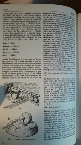 Imagen 7 de 10 de Diccionario De La Biblia Autores Haag Van Den Born Y Ausejo