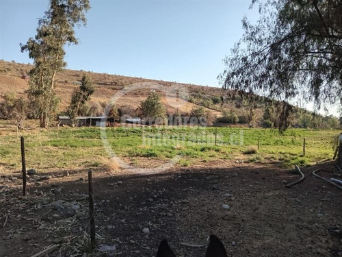 Agrícola En Venta En Combarbalá