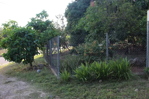 Finca En Piedras Tolima En La Zona Urbana