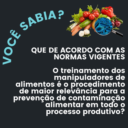 Imagem 1 de 10 de Treinamentos Qualidade Manupuladores Alimentos Rdc 216