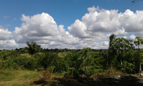 Terrenos En Cerro Del Palmarejo Autopista Duarte Negociables Precio Por Metro Rd$4500