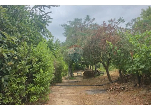 Hermosa Parcela Para Uso Agrícola O Vivienda