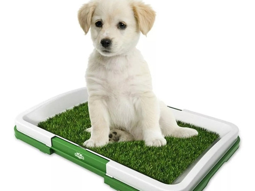 Puppy Potty  Pad. Baño Para Mascota Cachorro 