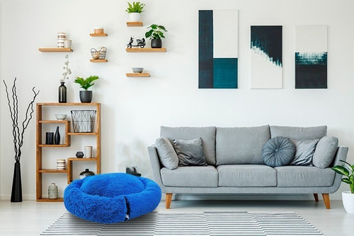 Cama Antiestrés Para Perro Chico 60cm Relajante Y Suave Color Azul Rey