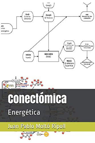 Conectomica: Energetica -acupuntura Cientifica-