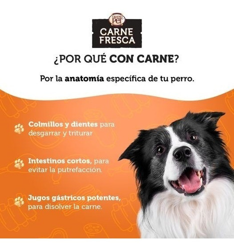 Alimento Carne Fresca Puppy Care Para Perro Cachorro Sabor Mix En Bolsa De 15 Kg