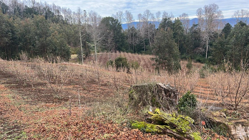 Agrícola En Venta En Gorbea