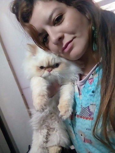 Peluqueria Canina Y Felina A Domicilio