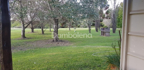 Imagen 9 de 30 de Terreno Campo En Venta O Permuta Ubicado En Baradero, Resto De La Provincia, Buenos Aires