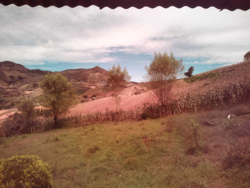 Imagen 17 de 30 de Linda Finca En Venta En La Vereda Betania Del Carmen De Viboral.