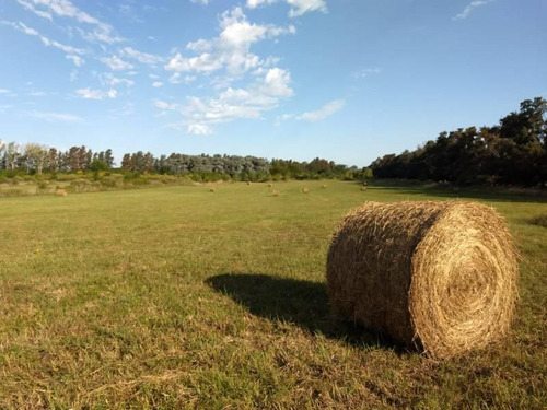 Campo En Venta De 17 Hectareas En Open Door, Lujan Gba Oeste