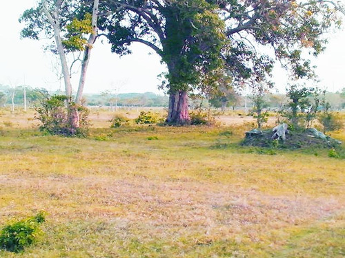 Venta Terreno 8224 M² Frente Al Estero Tuxpan Veracruz