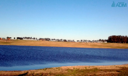 Estupenda Chacra En Laguna De Los Cisnes, Con 50 Mts De Costa