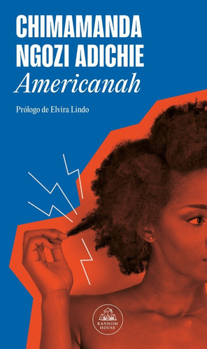 Americanah - Chimamanda Ngozi Adichie - Randorm House