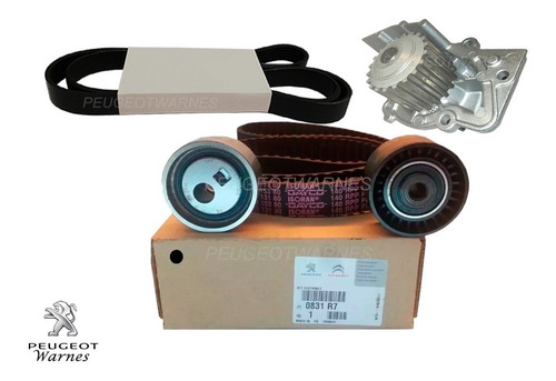 Distribucion + Poly V + Bomba Dolz Peugeot 207 Compact 1.9 D