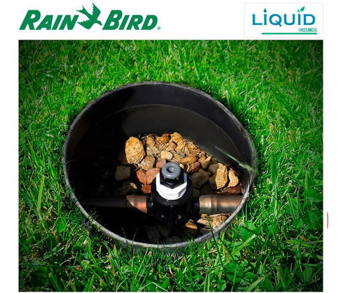 Imagen 4 de 6 de Válvula De Aire Ventosa De ½ Rain Bird Para Goteo