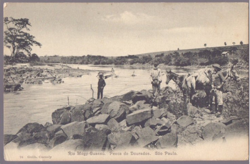 Rio Mogi Guaçu - Pesca De Dourados - São Paulo - 03101821