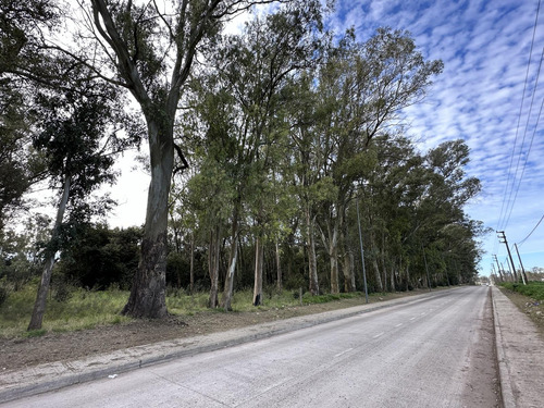 Venta Terreno Longchamps - Lote Barrio La Arbolada