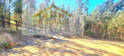 Venta De Sitio En Santa Rosa De Bucalemu