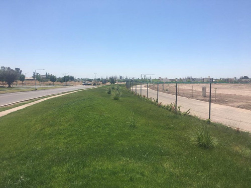 Lote , Venta , Lomas Del Torreon