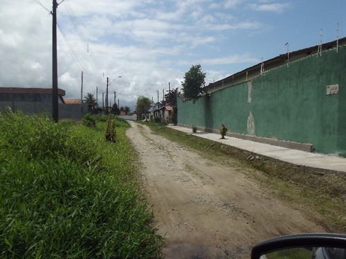Imagem 19 de 29 de Terreno - Te00036 - 32363943