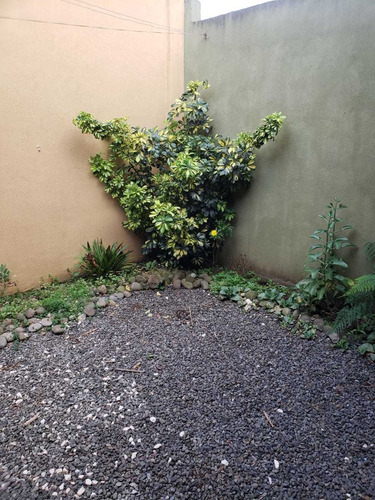 Imagen 4 de 14 de ¡ Amplia ! Casa Con Patio En Sabanilla