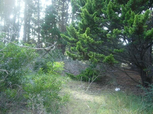 Imagen 1 de 5 de Lote De 475m2 Zona Residencial - Mar Azul | Cod. 0316 |