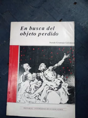 Localizador Buscador Detector De Objetos Perdidos Busca