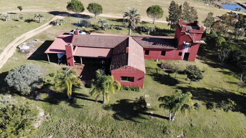 Venta De Campo De 156 Hectareas En Garzon