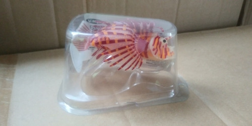 Imagen 1 de 1 de Fancy Pets Pez Leon Fluorescente Ch Colores Surtidos Acuario Peces Pecera Decoracion