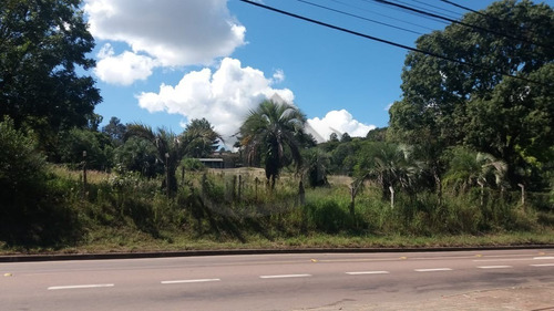Area - Ar00007 - 68772282