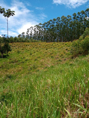 Imagem 9 de 14 de V20- Lotes 800 Metros Da Represa Fácil Acesso Em Igaratá