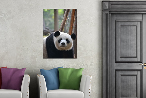 Cuadro 20x30cm Oso Panda Natura Deco Interior Silvestre M1