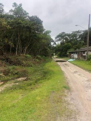Imagem 3 de 5 de Terreno De Chácara Lado Serra, Itanhaém- São Fernando. 8963