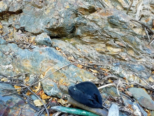 Venta De Terreno De Minas Con Oro