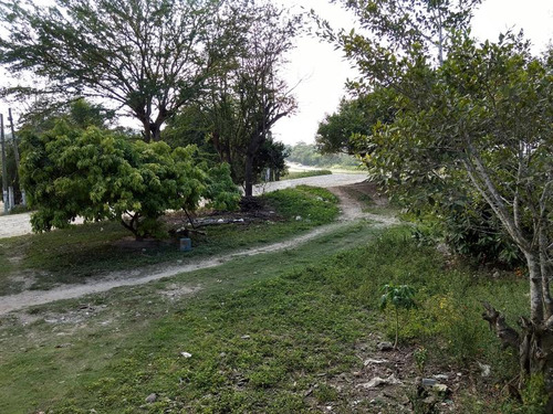 Venta Terreno Con Construccion 873 M² Autopista Tuxpan Veracruz - Poza Rica