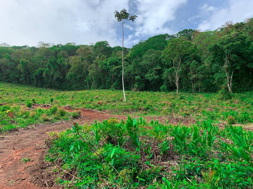 Imagem 12 de 14 de F01- Terrenos 1.000m2 Apenas 10 Lotes No Valor De 29,000