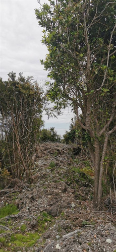 Sitios En Venta En Hualaihue