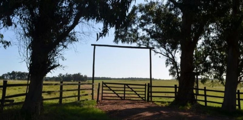 Campo En Venta