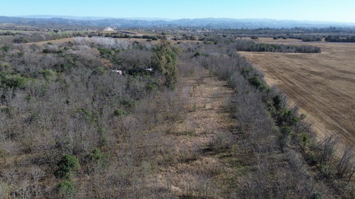 1 Hectarea Sobre Ruta E56, Anisacate